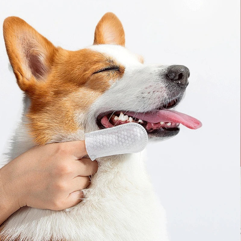 Disposable Finger Covers for Dogs & Cats Pet Cleaning Finger Covers Tartar Removal Ear Cleaning, Fresh Breath Essential