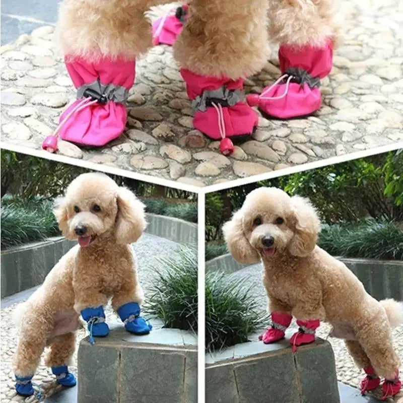 Flexible Silicone Rain Boots for Small Dogs, Set of 4