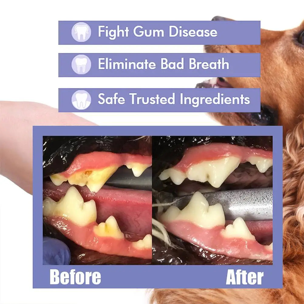 Dog Mouth Spray for Oral Care and Fresh Breath