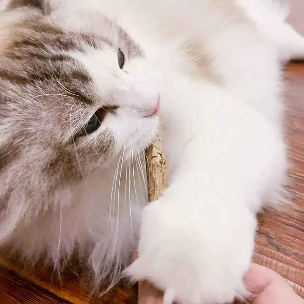 Natural Silvervine Matatabi Chew Sticks for Cats, 15 Pack