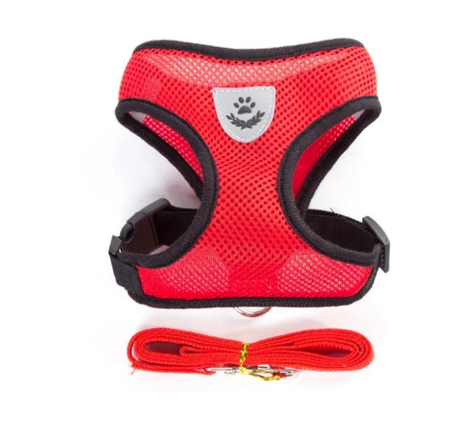 Breathable Mesh Cat and Small Dog Harness with Leash, S–XL