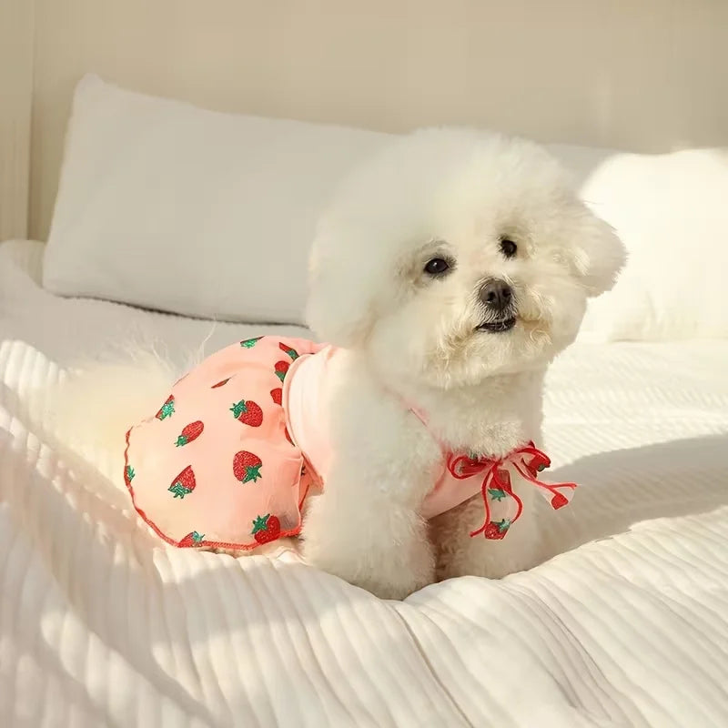 Floral Summer Dress for Small Dogs, XS–XL