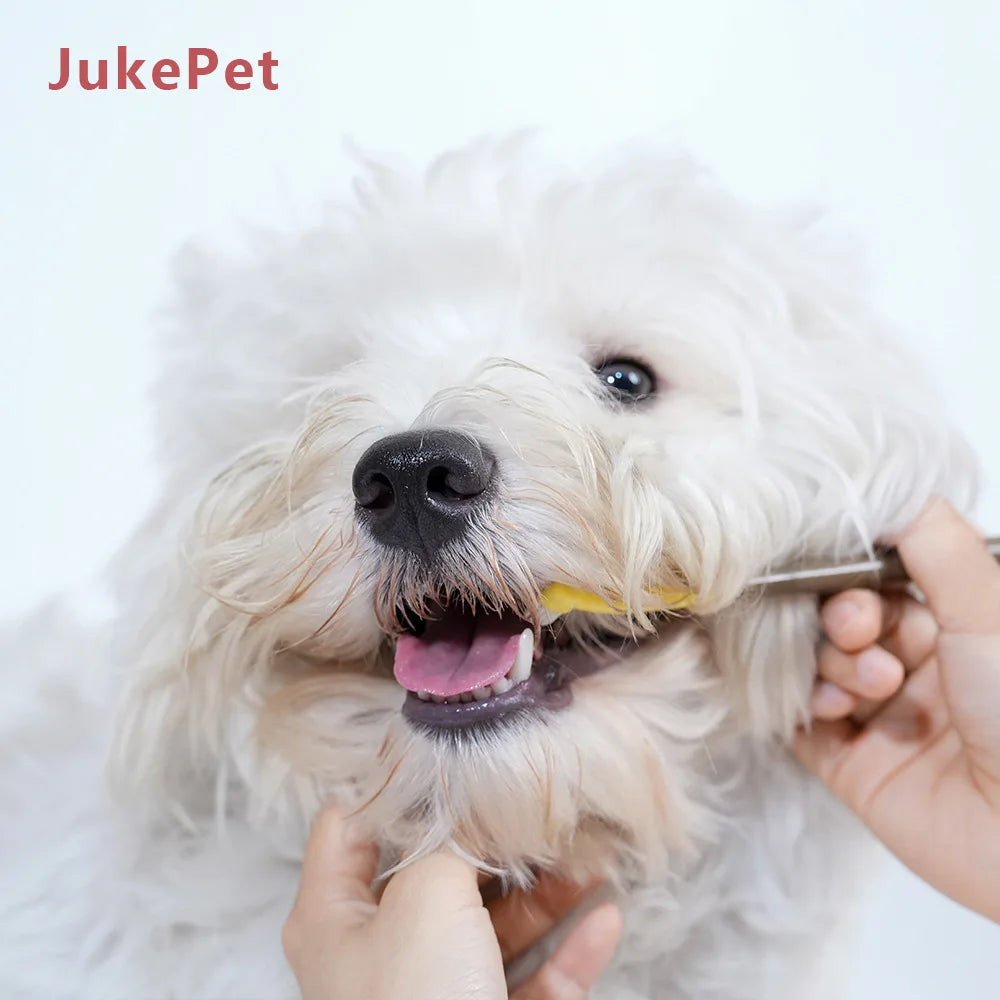 Pet Toothbrush Dog Plastic Toothbrush Removing Tartar Cleaning Mouth Pet Care Cat Cleaning Mouth
