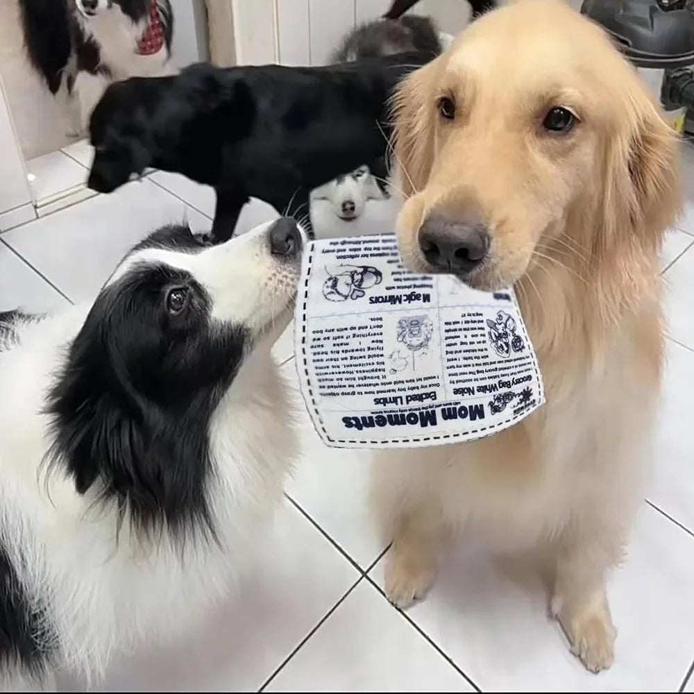 Tearproof Dog Sound Chew Toy Simulated Squeak Newspaper Playing Card K Q J Teeth Resistant Corgi Teddy Puppy Pet Interactive Toy