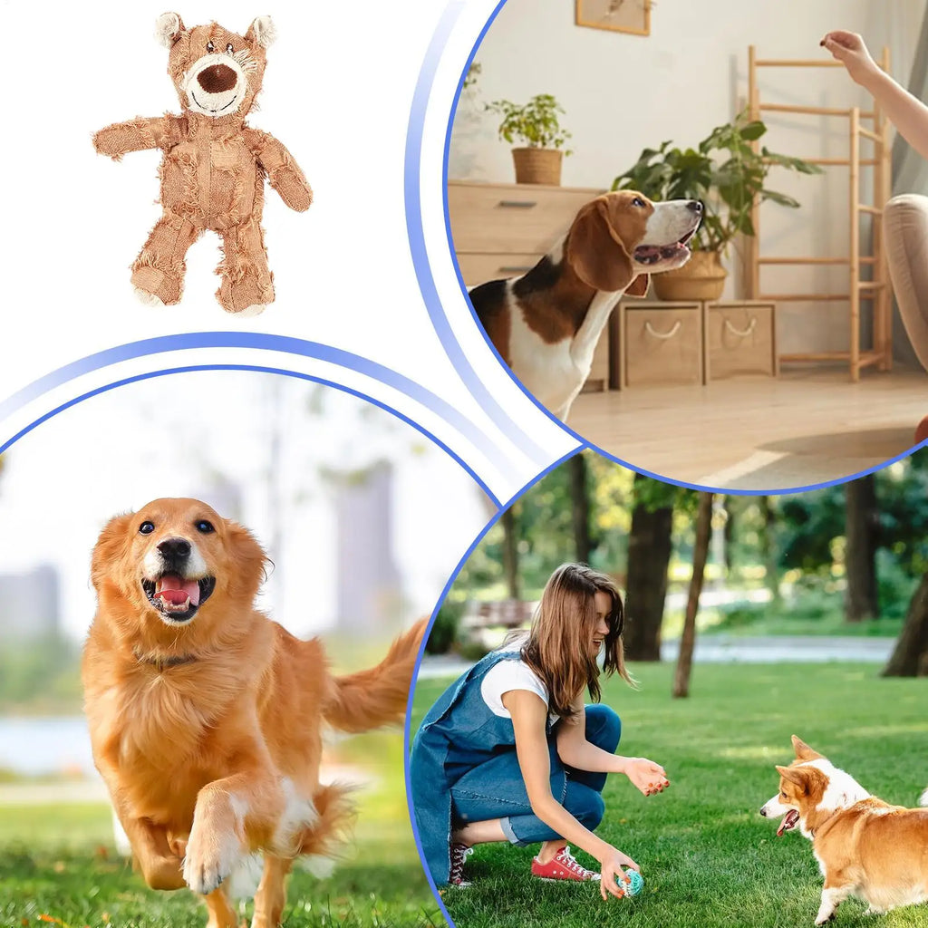 Squeaky Plush Bear Dog Toy, Yellow, Blue or Purple