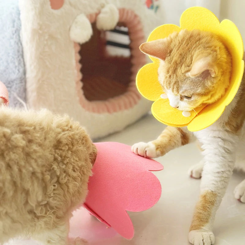 Adjustable Pet Recovery Cone Collar for Dogs and Cats