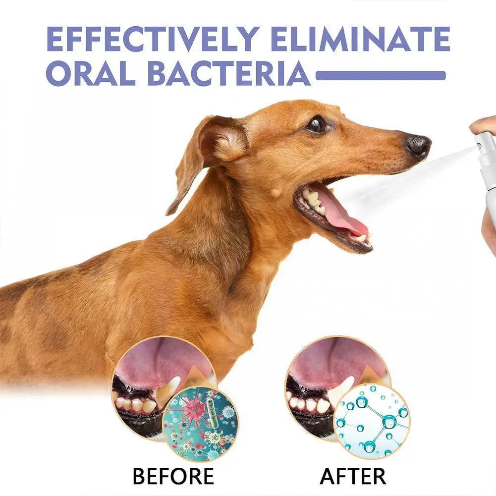 Dog Mouth Spray for Oral Care and Fresh Breath