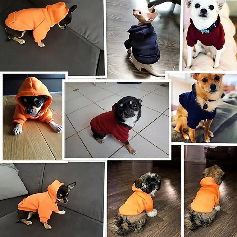 Cotton Hooded Dog Sweatshirt with Pocket