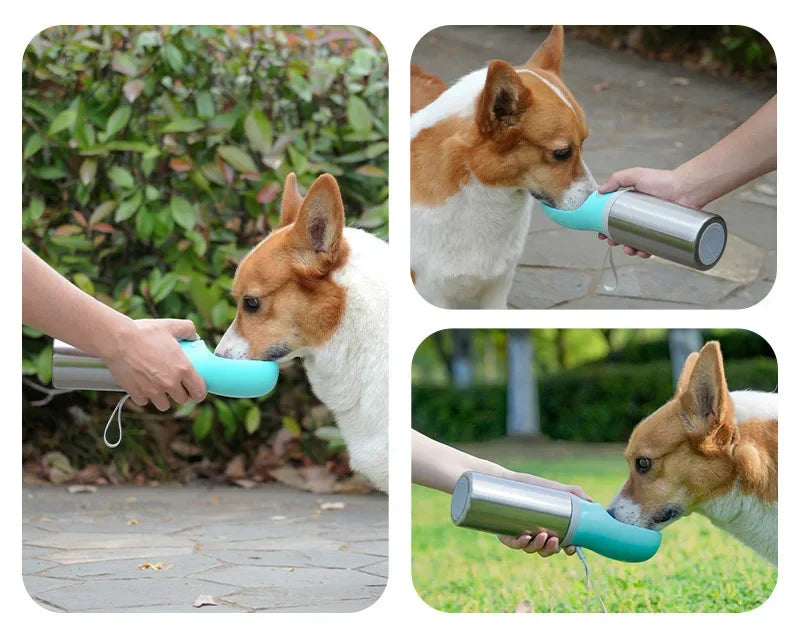 Double-Layer Stainless Steel Pet Water Bottle