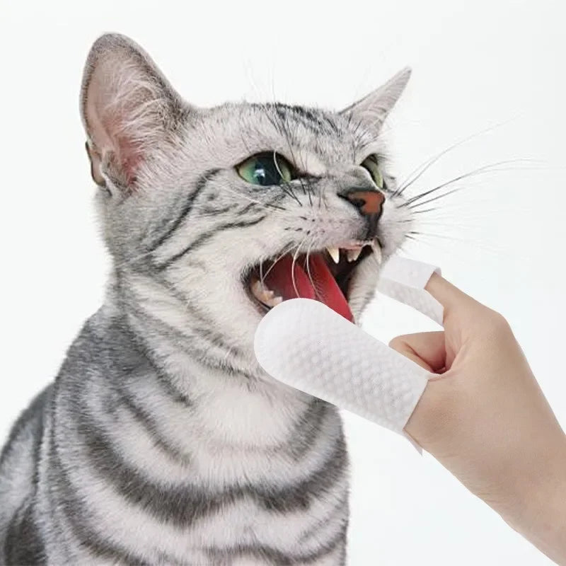 Disposable Finger Covers for Dogs & Cats Pet Cleaning Finger Covers Tartar Removal Ear Cleaning, Fresh Breath Essential