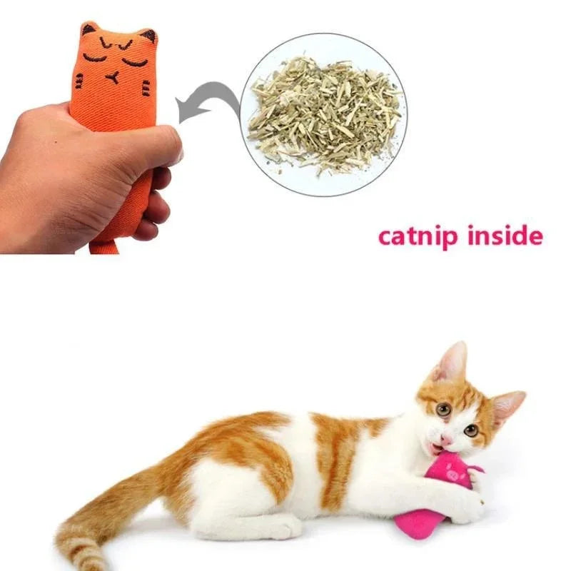 Crinkle Catnip Pillow Toy for Kittens and Cats