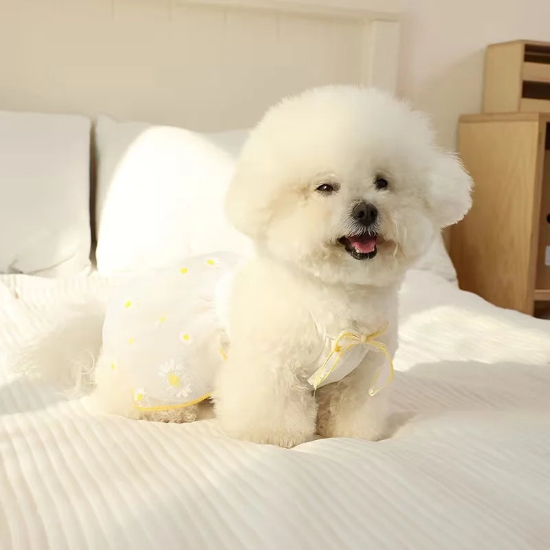 Floral Summer Dress for Small Dogs, XS–XL
