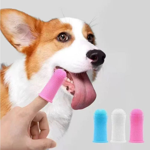 3-Sided Pet Toothbrush for Dogs & Cats, 1–4 Pack