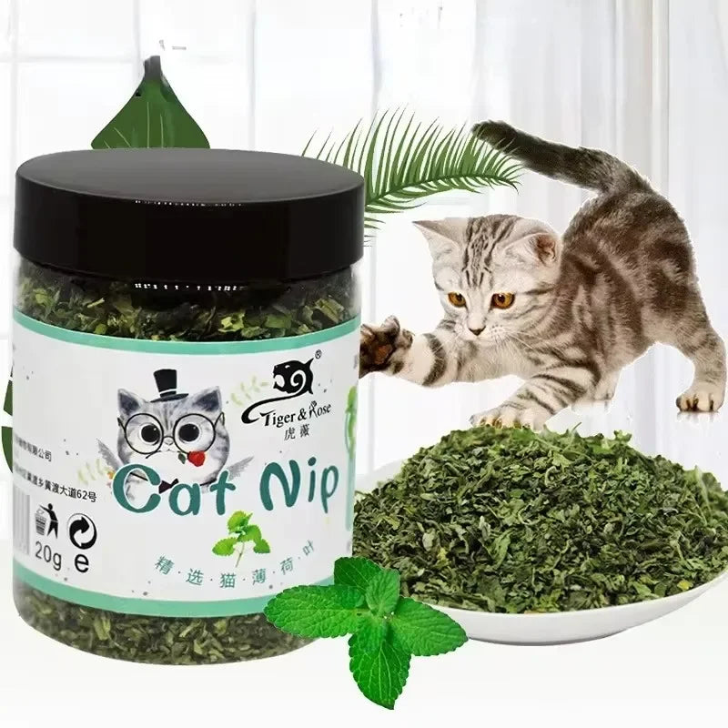 5-40g Organic 100% Cat Nip Natural Catnip Toy Cattle Grass Mint Taste Funny Cat Toy New Cat Interactive Cat Toys Pet Supplies