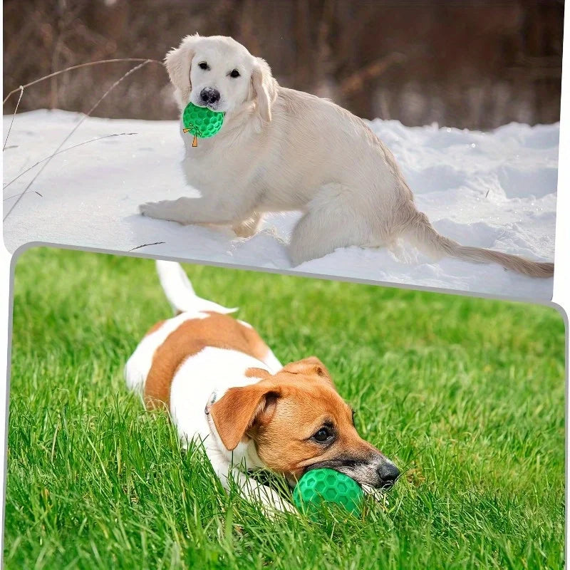 Hexagonal Natural Rubber Squeaky Ball Dog Toy