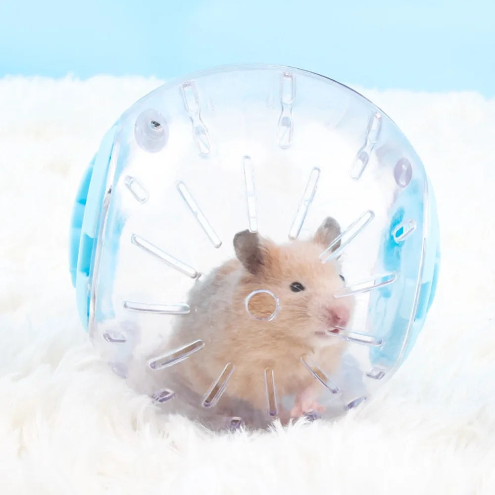 10/12CM, Plastic Outdoor Sport Ball, Grounder, Rat, Small Pet,  Jogging Ball, Hamster, Gerbil Exercise Ball, Play Toy Supplies