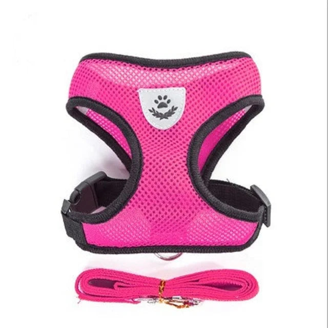 Breathable Mesh Cat and Small Dog Harness with Leash, S–XL