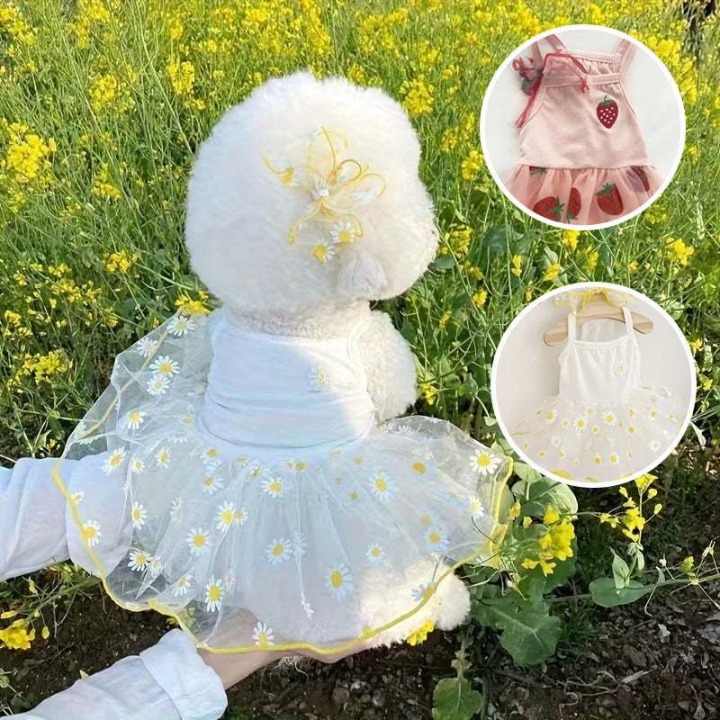 Floral Summer Dress for Small Dogs, XS–XL