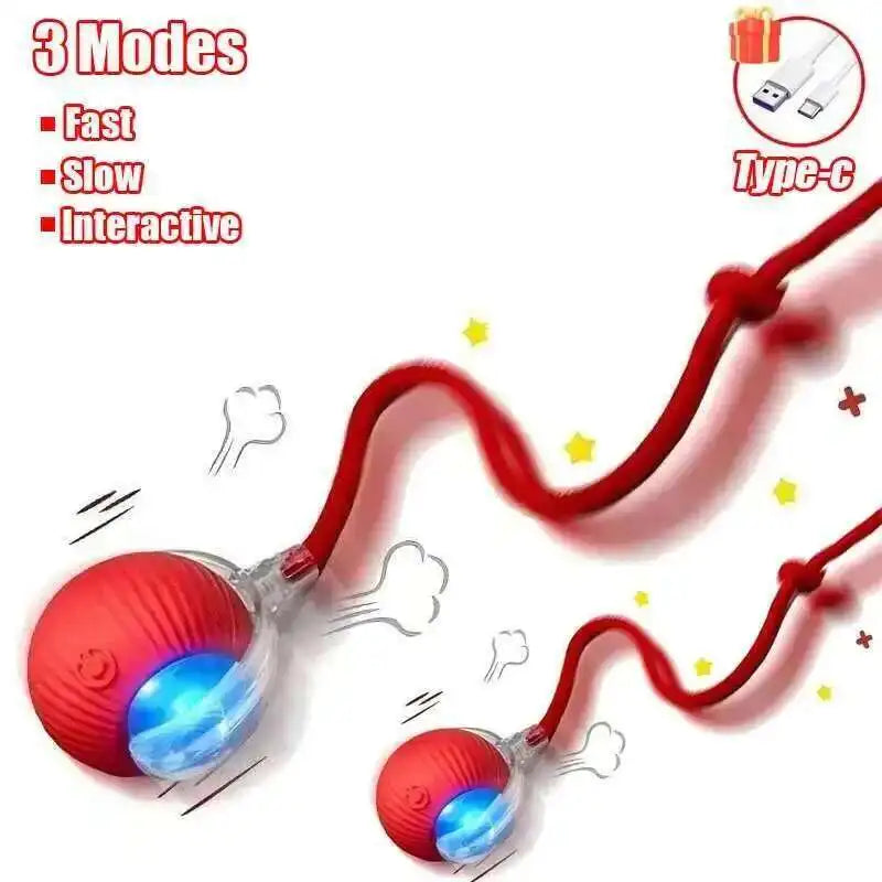 Rechargeable Rolling Dog Ball, Single, 2-Piece or 3-Piece Set
