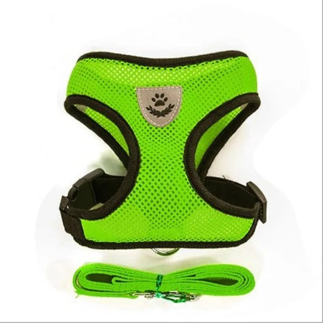 Breathable Mesh Cat and Small Dog Harness with Leash, S–XL