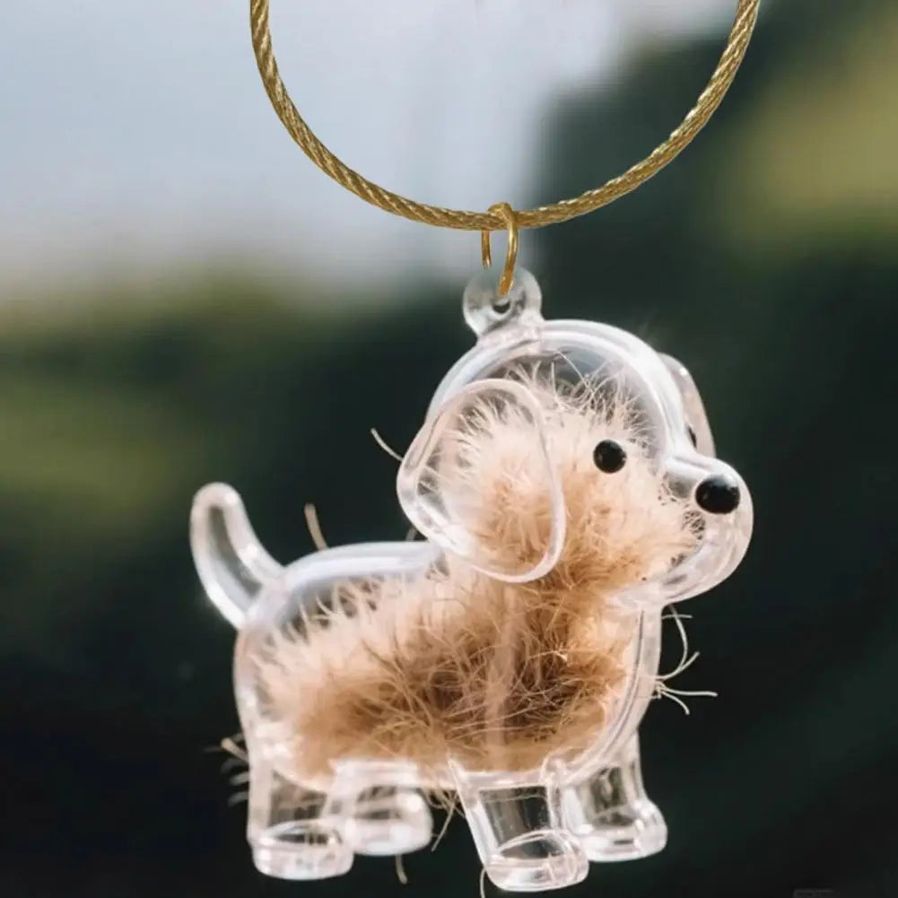 Dog Hair Storage Memorial Keepsake Pendant Backpack Keychain Pet Hair Fur Capsule Key Pendant Transparent Fur Collection Box