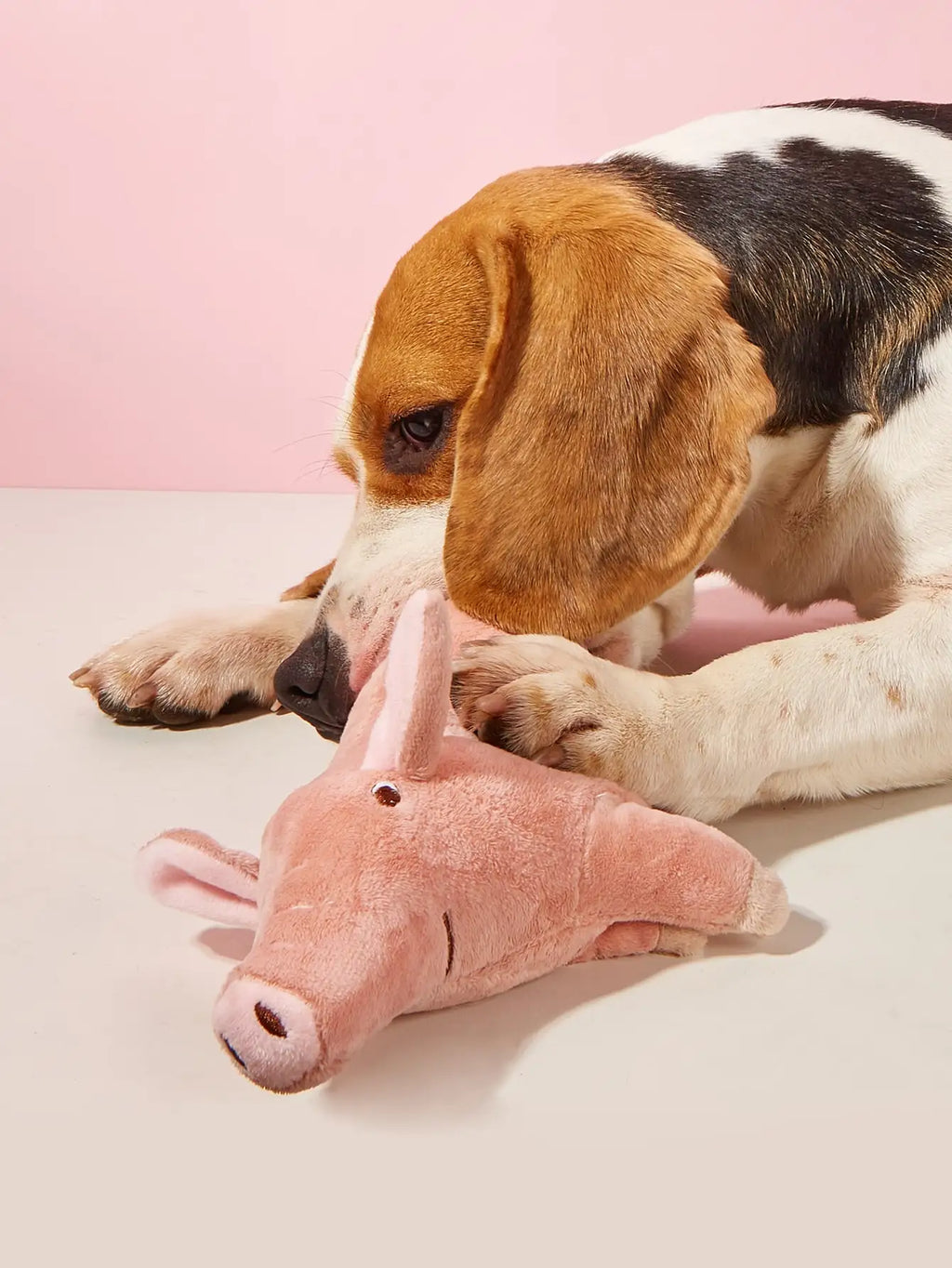 Plush Pig Chew Toy for Dogs
