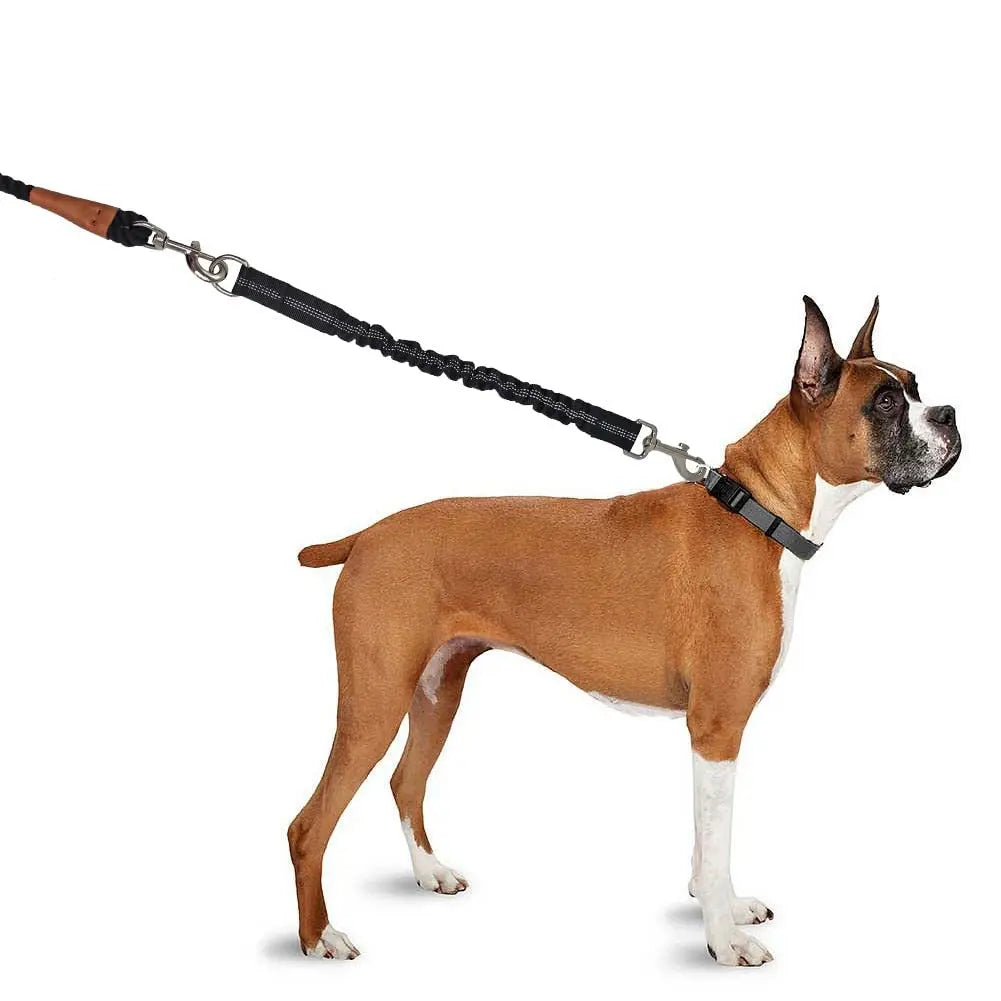 Dog Lead Shock Absorber Small Dogs Pet Elastic Rope Indestructible Toys Walking Leads Extension Bungee Black Training Leash