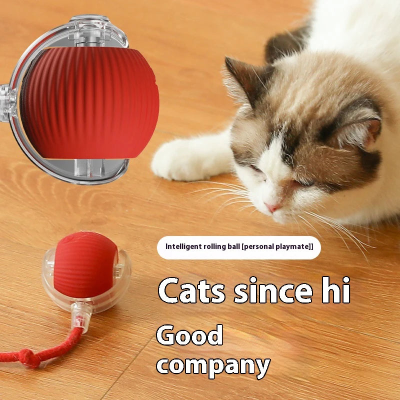 Rechargeable Rolling Teaser Ball Toy for Kittens & Cats