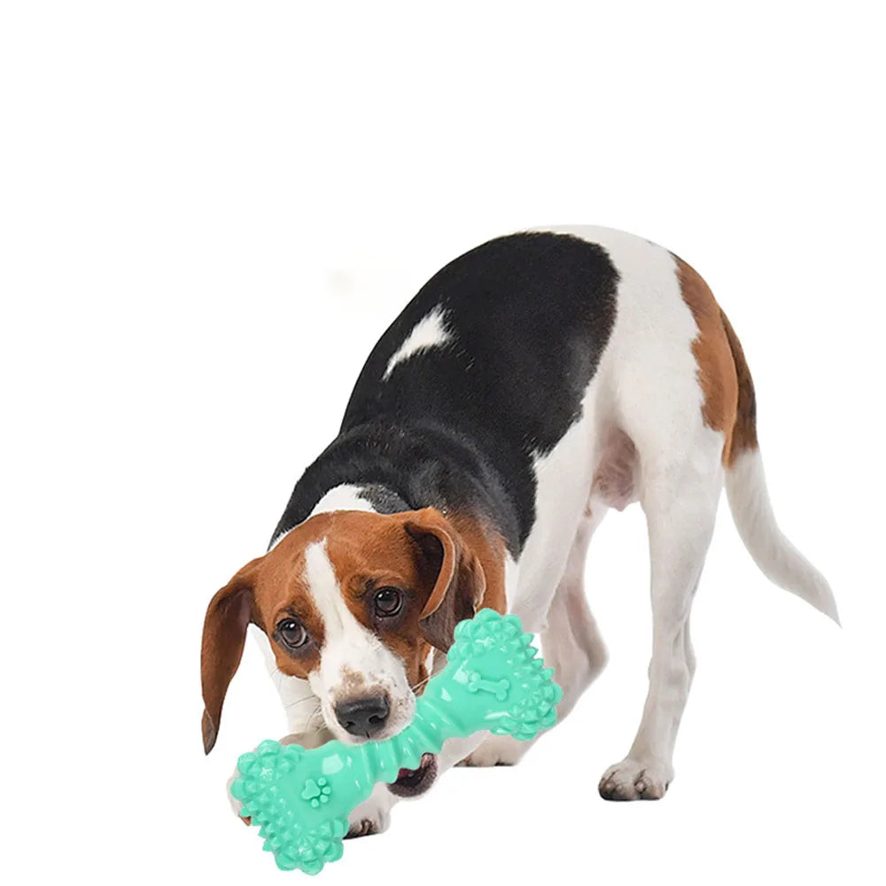 Dog Bone Squeaky Toy - Molar Teeth Cleaning Chew Toy for Dogs, Boredom Buster Interactive Pet Supplies,