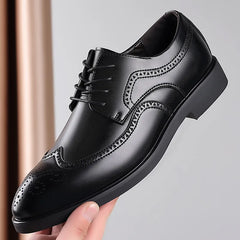 AscendCraft Leather Oxfords
