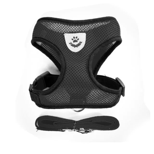 Breathable Mesh Cat and Small Dog Harness with Leash, S–XL