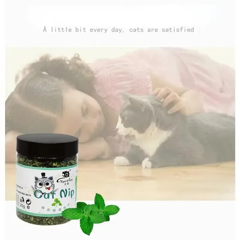 5-40g Organic 100% Cat Nip Natural Catnip Toy Cattle Grass Mint Taste Funny Cat Toy New Cat Interactive Cat Toys Pet Supplies