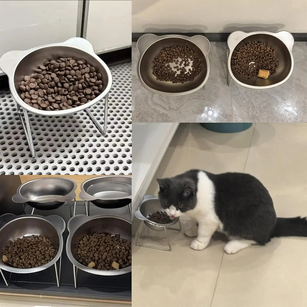 Stainless Steel Cat Bowl with Raised Metal Stand