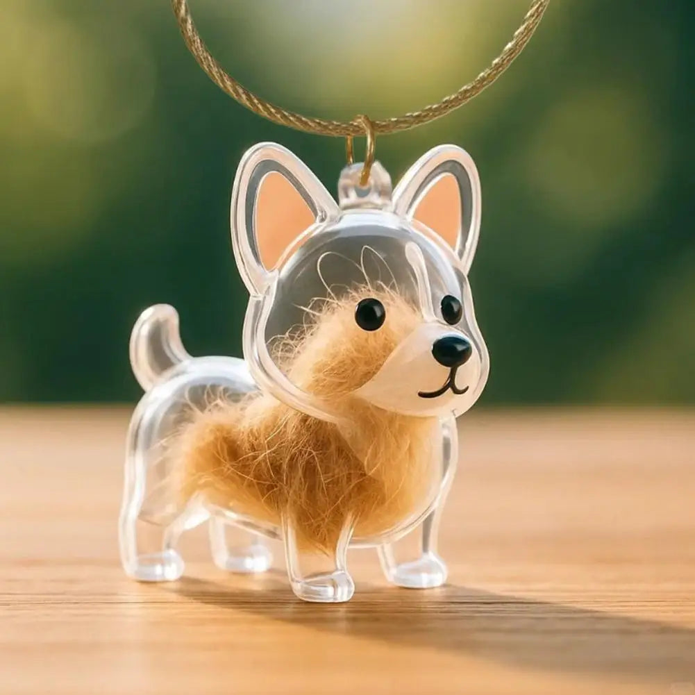 Dog Hair Storage Memorial Keepsake Pendant Backpack Keychain Pet Hair Fur Capsule Key Pendant Transparent Fur Collection Box