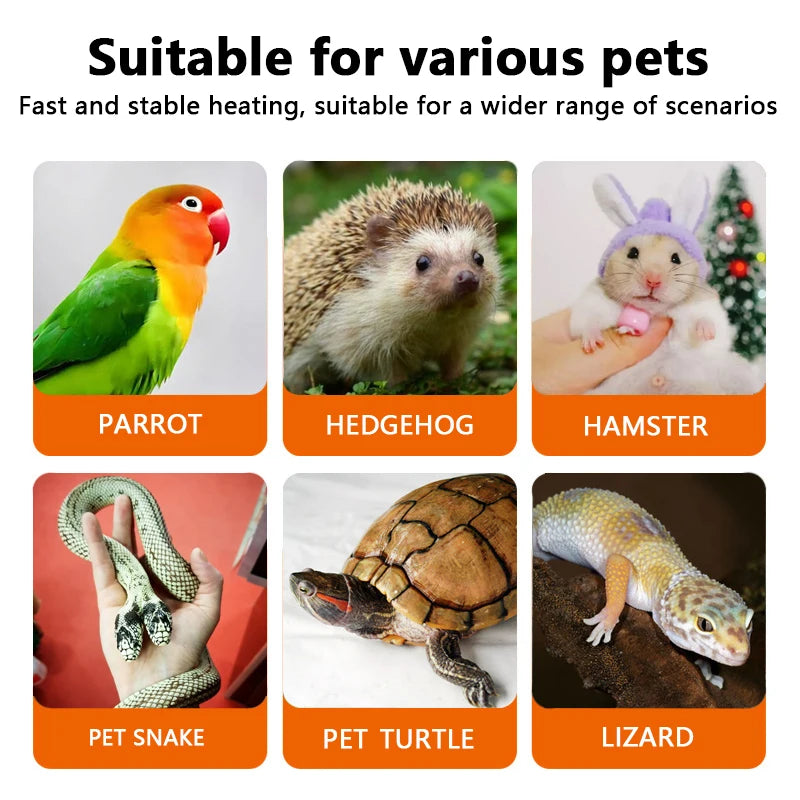 Ceramic Emitter Heat Light Mini Black Pet Heating Lamp Infrared Bulb 25/50/75/100W Brooder Chickens Reptile Lamp