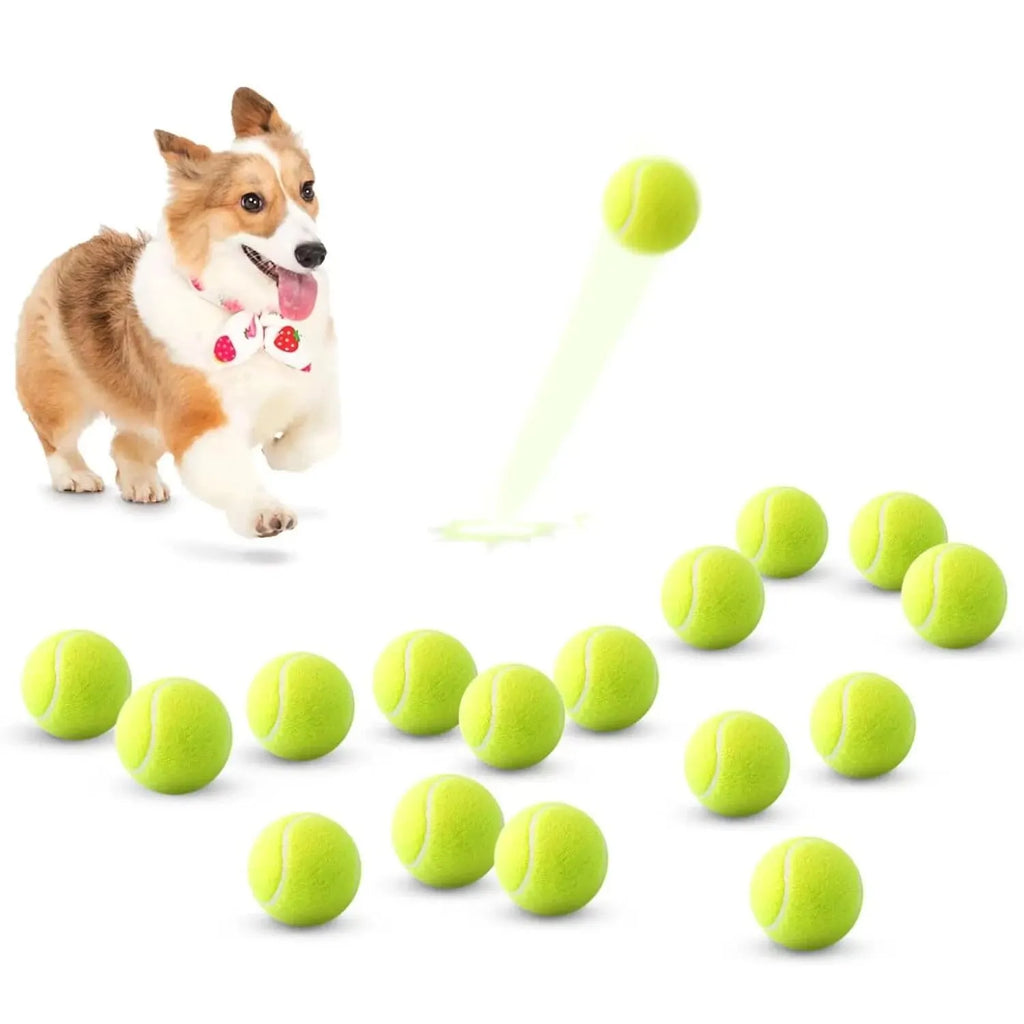 Mini Tennis Balls for Small Dogs, 2 in, 6 or 12 Pack