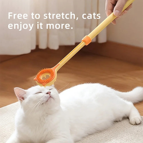 2-in-1 Retractable Cat Teaser Wand