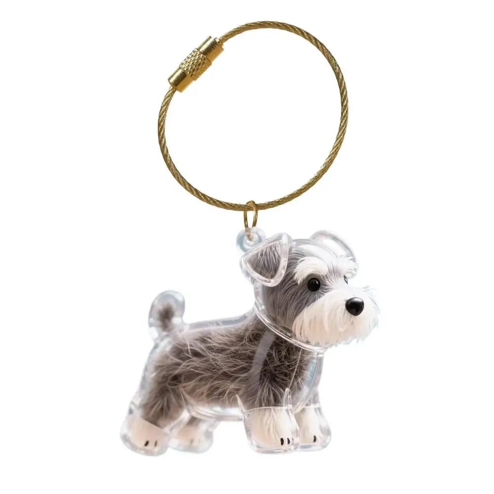 Clear Pet Fur Keepsake Capsule Keychain in Ten Styles
