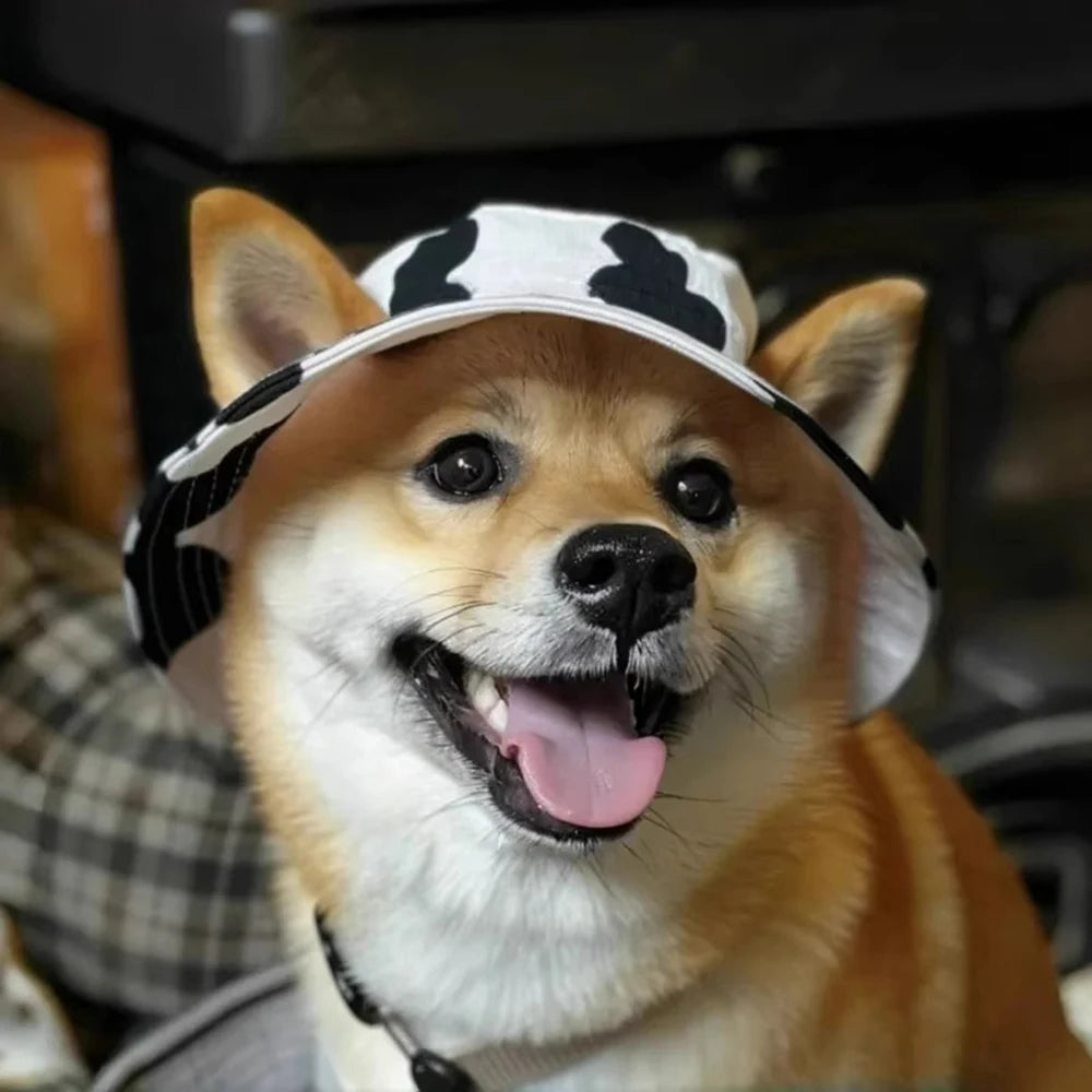 Adjustable Cat Dog Bucket Hat Summer Sun Protection Cap for Small Medium Dogs Shiba Inu Corgi Puppy Kitten Outdoor Pet Headwear