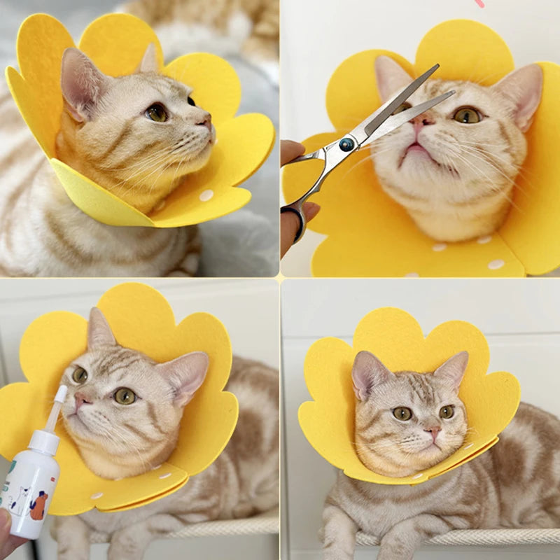 Adjustable Pet Recovery Cone Collar for Dogs and Cats