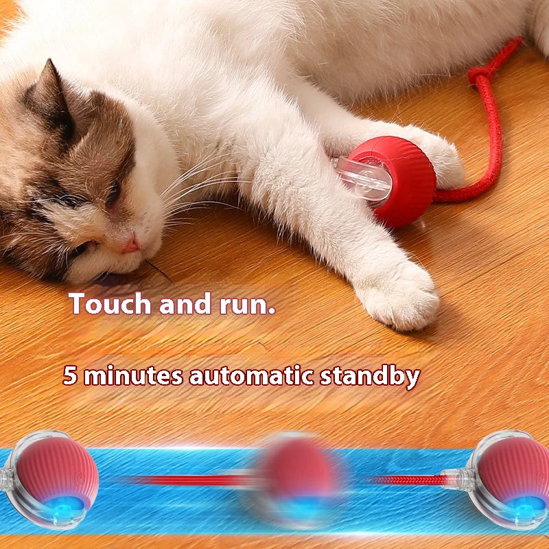 Rechargeable Rolling Teaser Ball Toy for Kittens & Cats