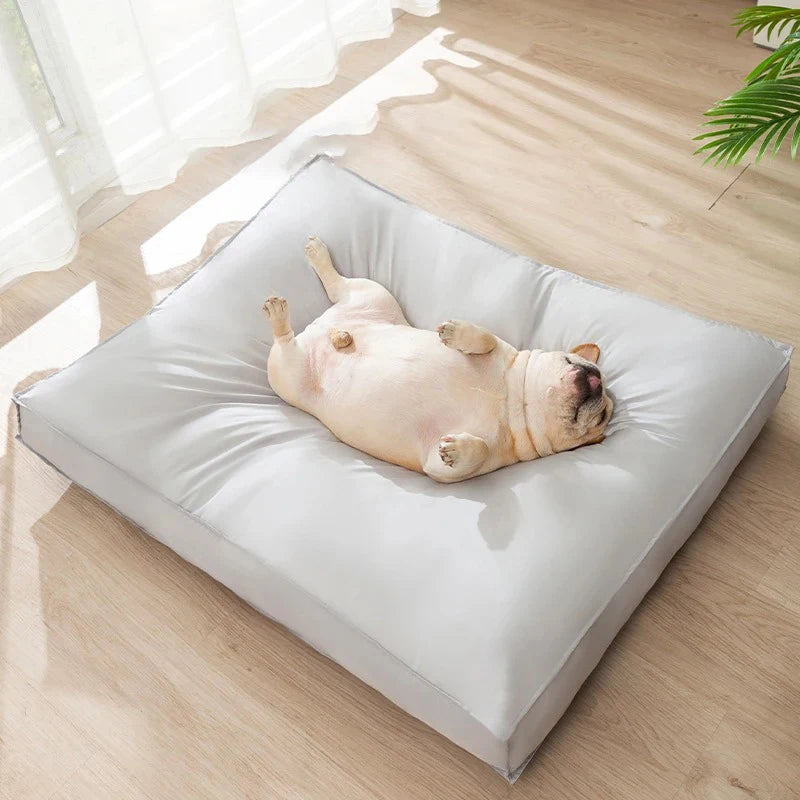 Soft Crate & Sofa Pet Bed Mat for Dogs and Cats, S–XL