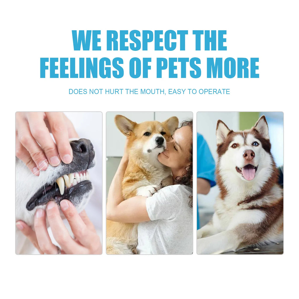 Edible Pet Toothpaste for Dogs and Cats for Daily Oral Care