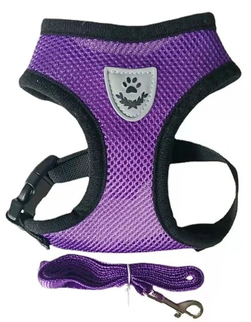 Breathable Mesh Cat and Small Dog Harness with Leash, S–XL