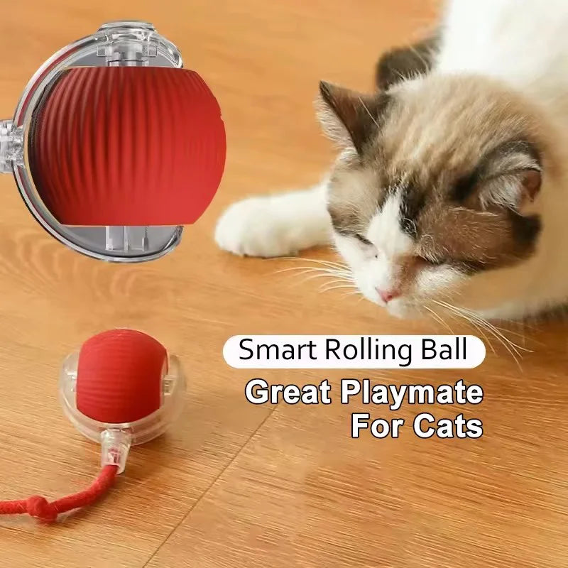 Hot Electric Dog Ball Toys Automatic Rolling Ball Rechargeable Smart Pet Interactive Plush Toy Dog Cat Training Imitate Mouse