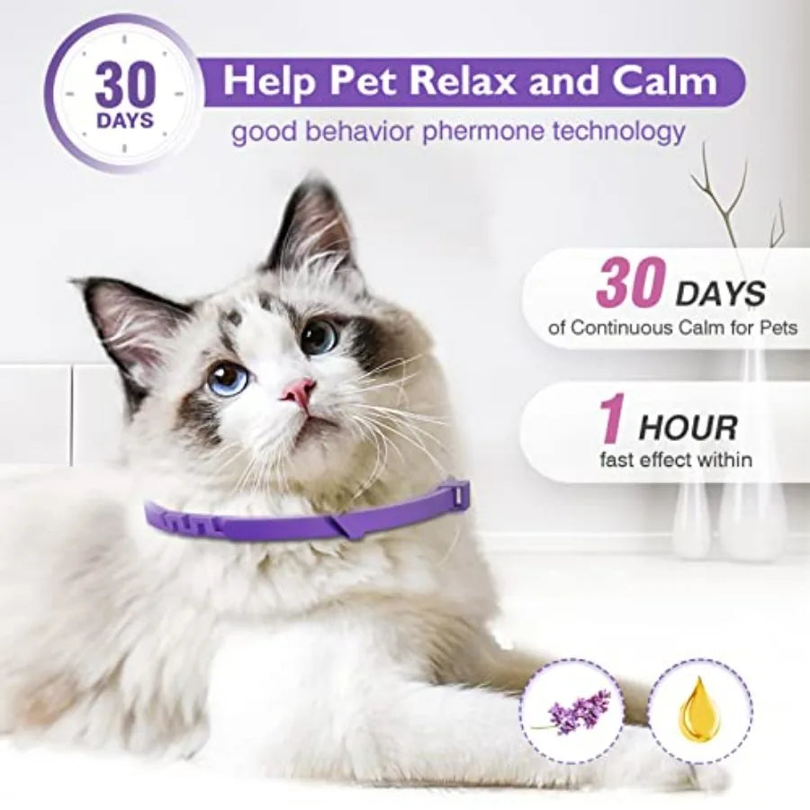 Breakaway Cloth Pet Collars, 3 Pack in Purple