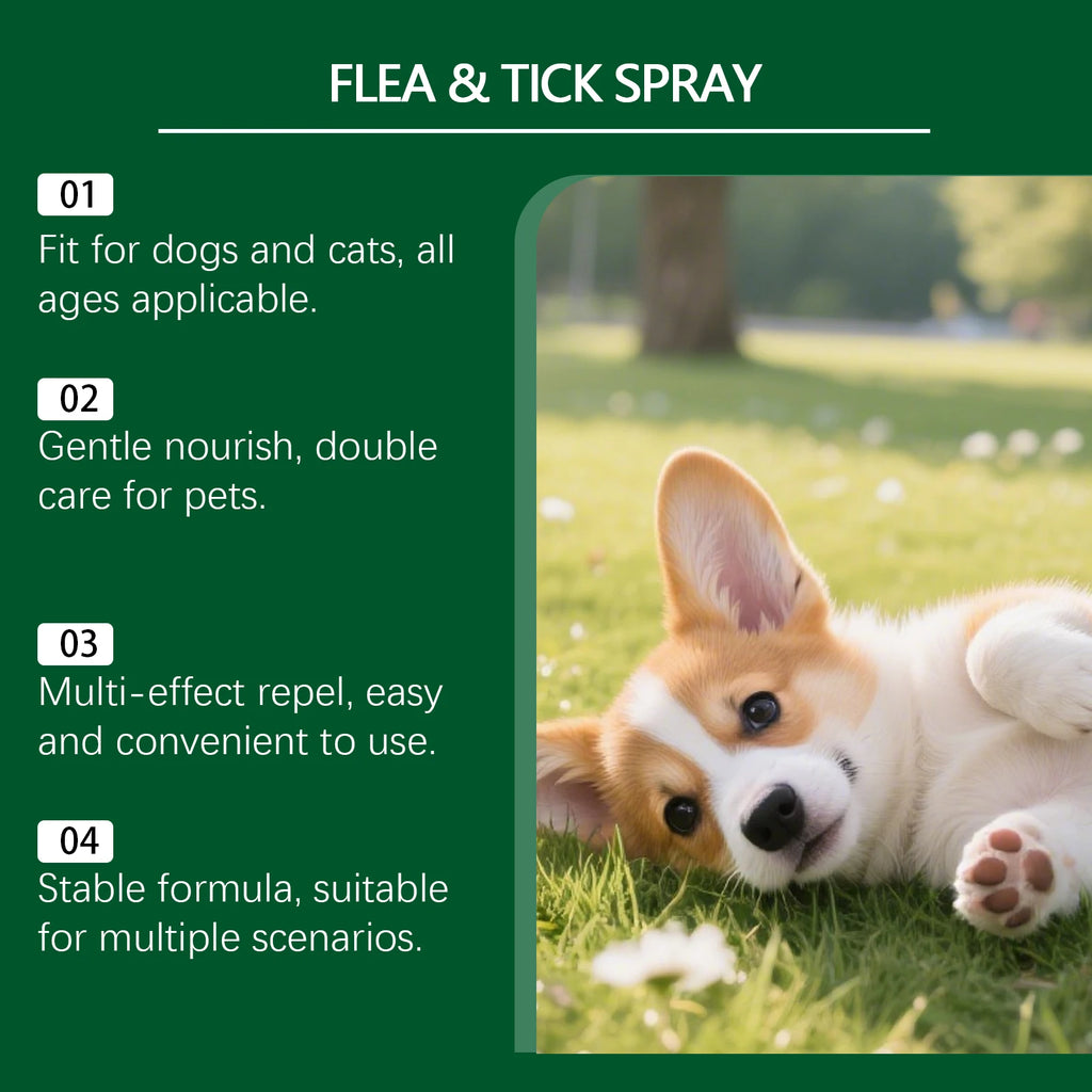 Pet Flea & Tick Spray Plant Extract Pet Repellent Spray for Cats and Dogs