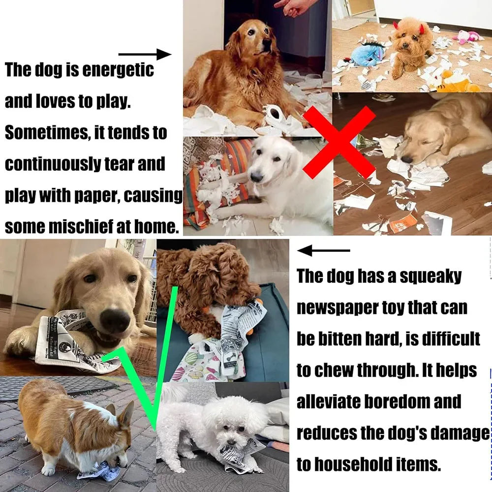 Tearproof Dog Sound Chew Toy Simulated Squeak Newspaper Playing Card K Q J Teeth Resistant Corgi Teddy Puppy Pet Interactive Toy