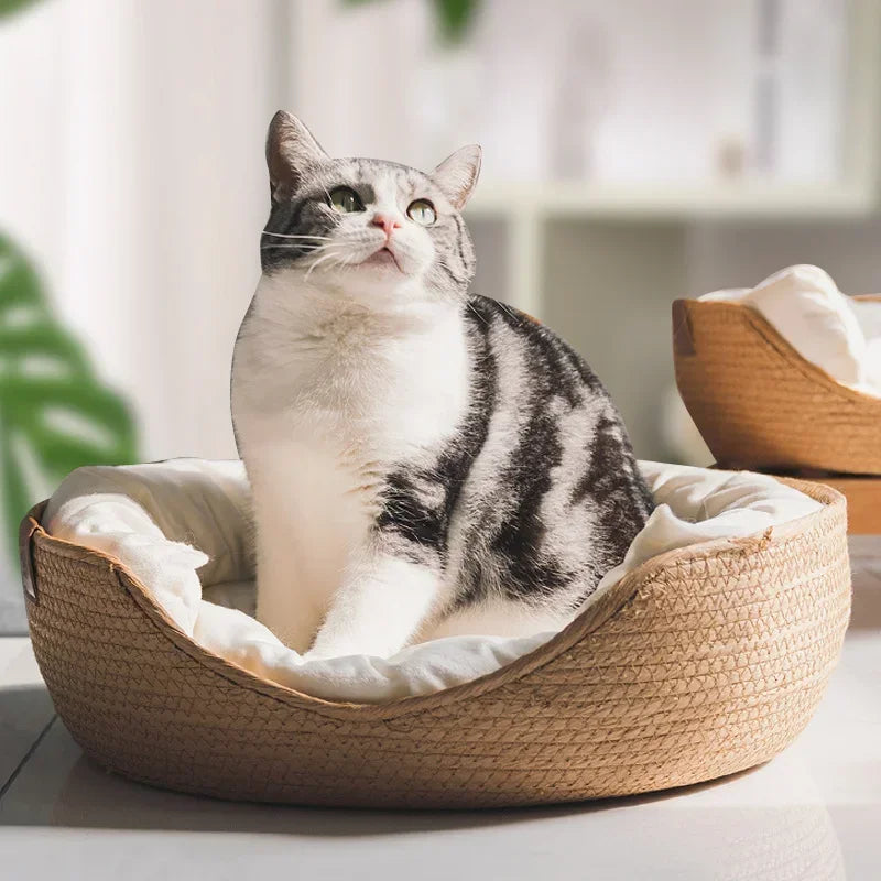 Woven Bamboo-Style Cat Basket Bed with Cushion & Pillow