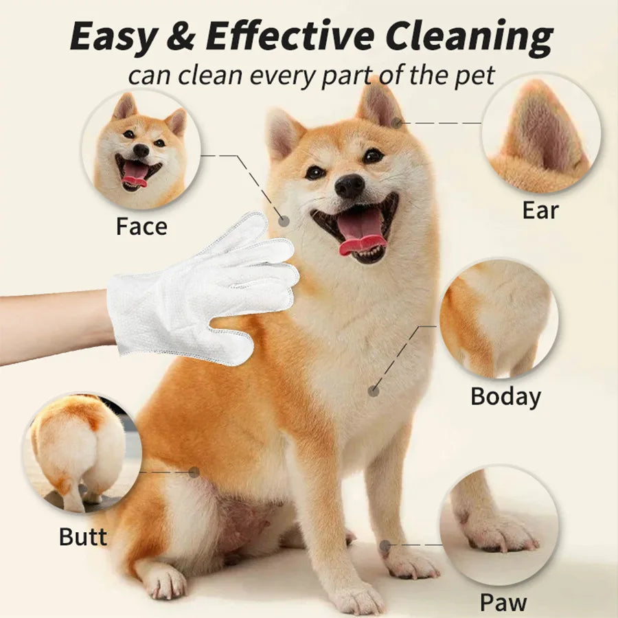 Premium Dog Cat Bath Free Cleaning Gloves Deodorizing Disposable Wet Wipes No Water Dry Cleaning Pet Grooming Decontamination Ca